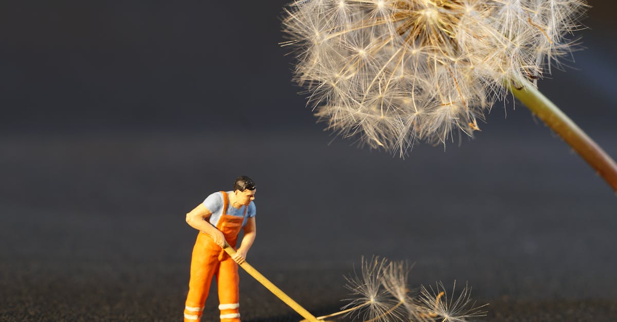 découvrez nos conseils et astuces pour un nettoyage efficace de votre maison ou de votre entreprise. produits recommandés, techniques et organisation pour un environnement propre au quotidien.