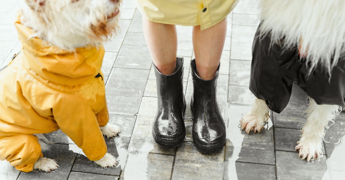 découvrez nos produits waterproof conçus pour résister à l’eau et vous accompagner dans toutes vos aventures. étanchéité garantie, performance et durabilité au rendez-vous !